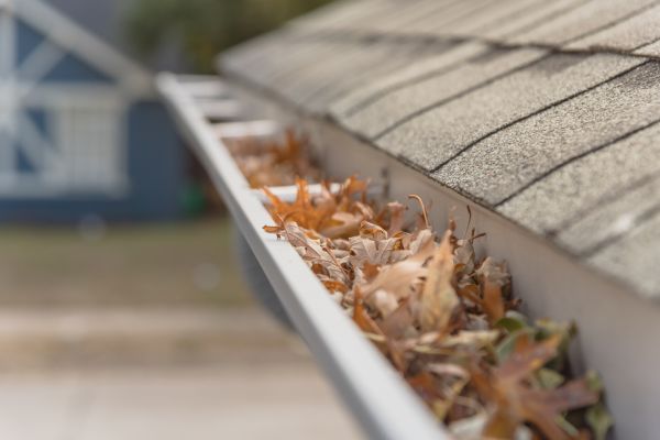 Leaf Barrier Installation in Flowery Branch